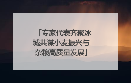 专家代表齐聚冰城共谋小麦振兴与杂粮高质量发展
